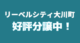 宅地分譲地　リベールシティ大川町